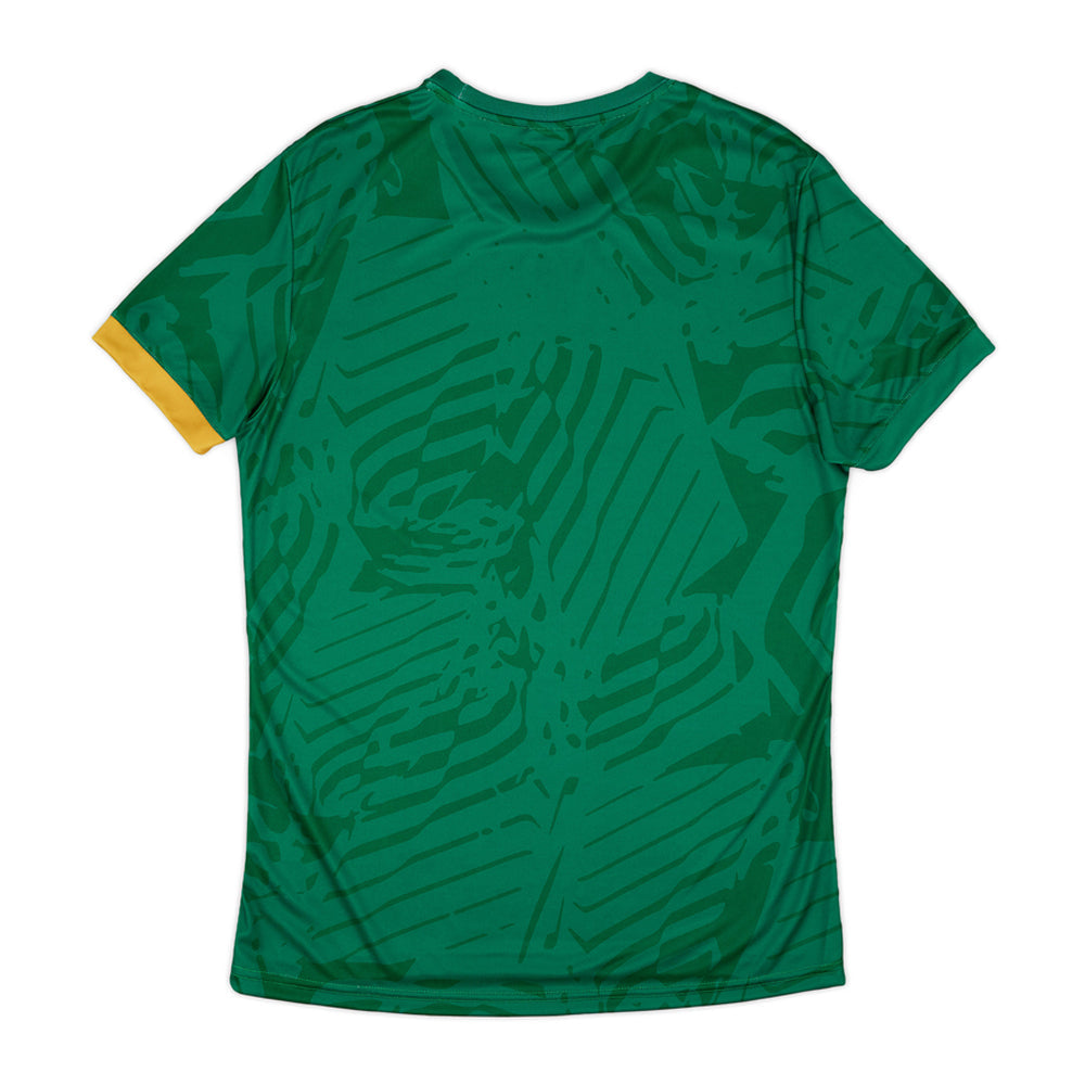 2024-2025 South Africa Away Shirt