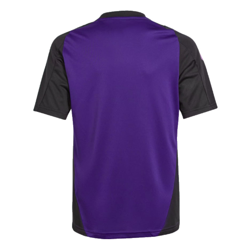 2024-2025 Germany Training Jersey (Purple) - Kids