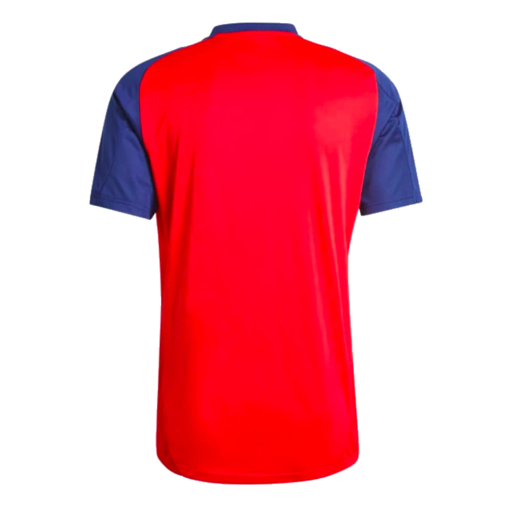 2024-2025 Spain Training Jersey (Red)