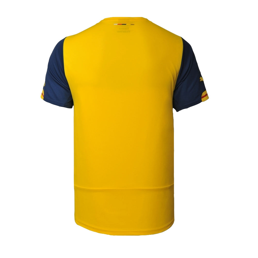 Arsenal 2014-15 Away Shirt (L) (Good)
