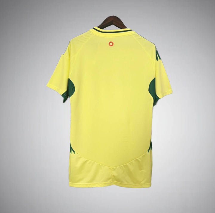 Wales 2024 Away Kit