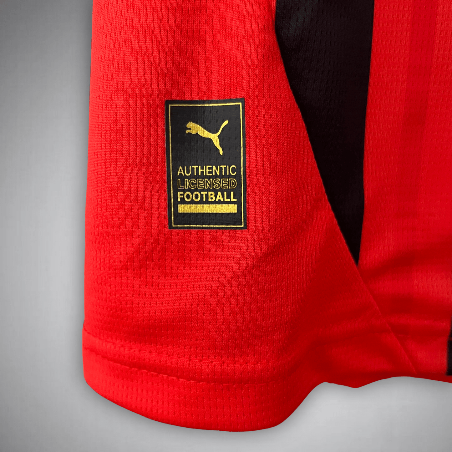 24/25 AC Milan Home Kit