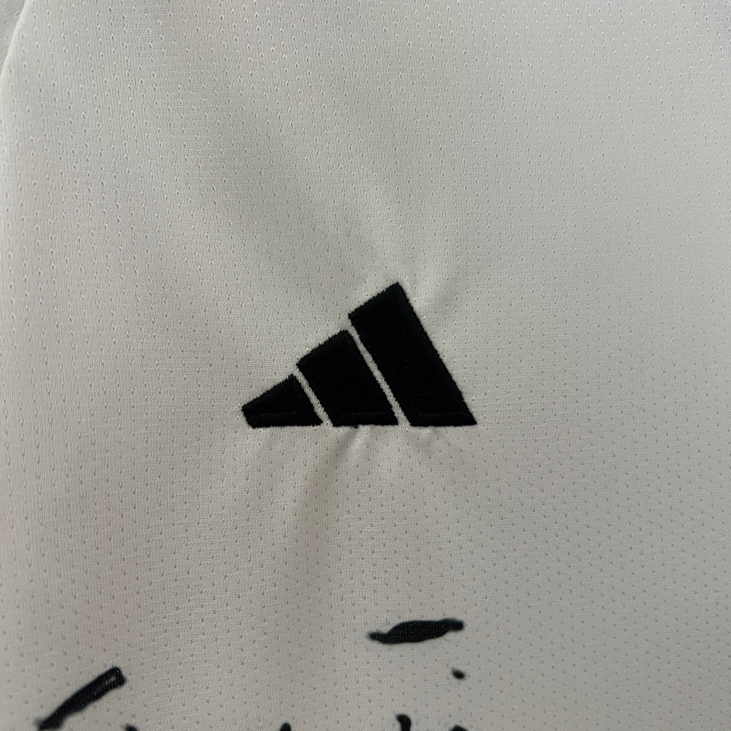 Japan "Zoro" Premium Kit