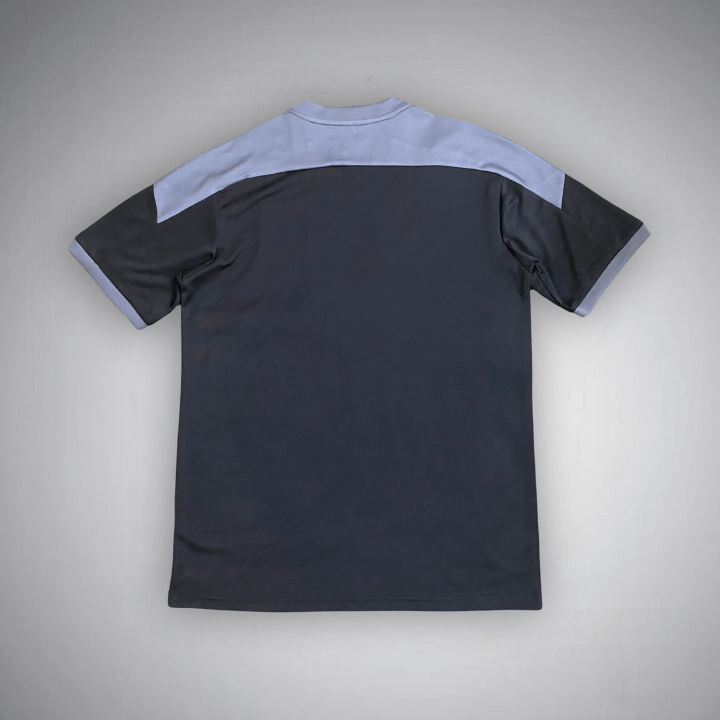 Japan "Saint Seiya" Premium Kit