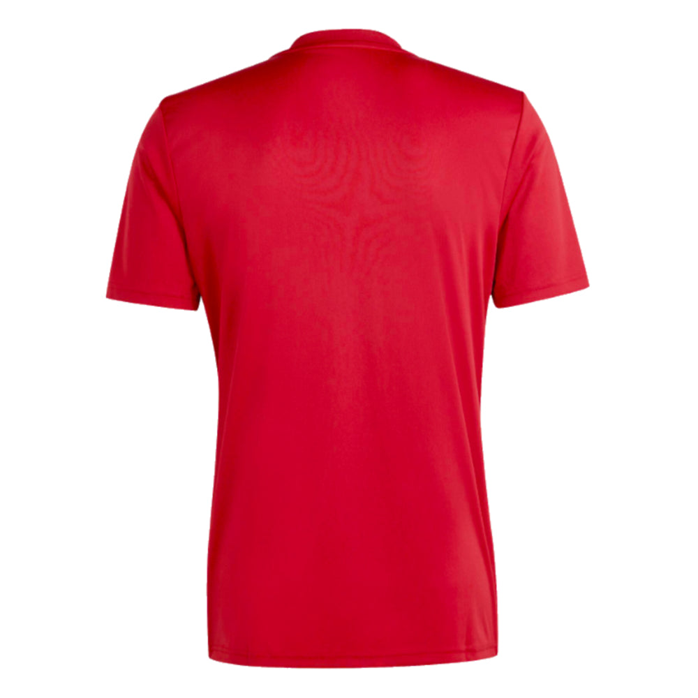 2023-2024 Roma Icon Pre-Match Shirt (Red)