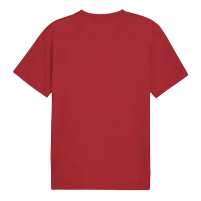 2024-2025 Serbia Pre-Match Jersey (Dark Cherry)