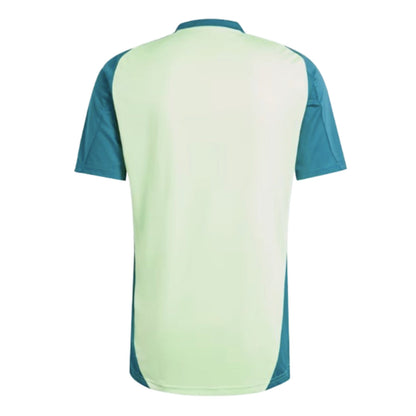 2024-2025 Mexico Training Jersey (Green)