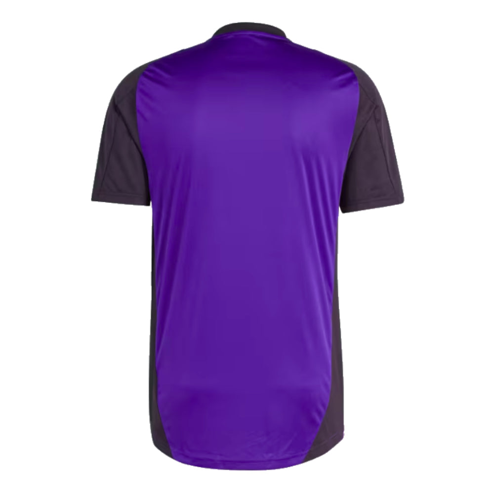 2024-2025 Germany Training Jersey (Purple)