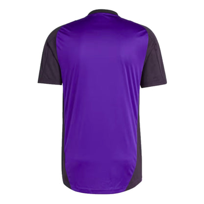 2024-2025 Germany Training Jersey (Purple)