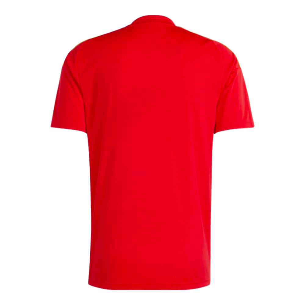 2024/25 Spain Home Fan Jersey