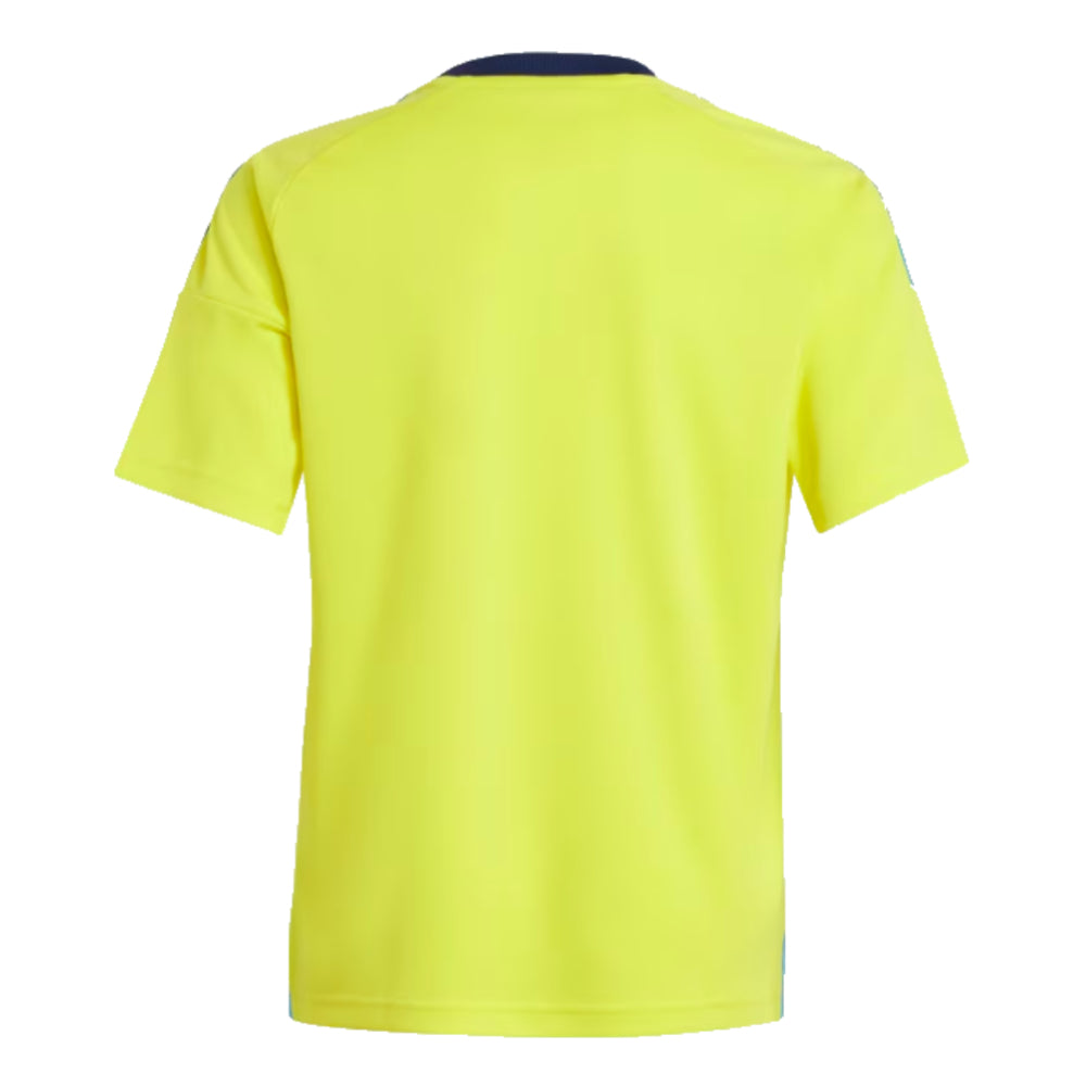 2024-2025 Sweden Home Fan Shirt (Kids)