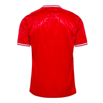 2024-2025 Denmark Home Shirt