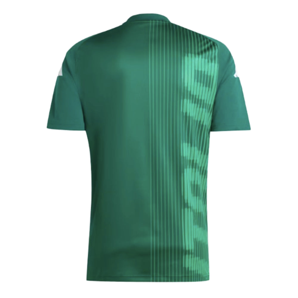 2024-2025 Italy Pre-Match Shirt (Green)