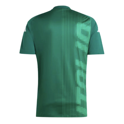2024-2025 Italy Pre-Match Shirt (Green)