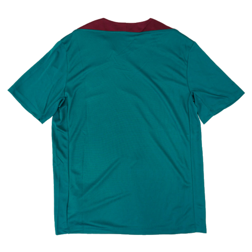 2024-2025 PSG Strike Dri-Fit Training Shirt (Teal)