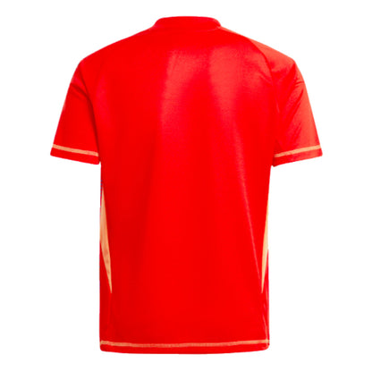 2024-2025 Juventus Home Goalkeeper Shirt (Red) - Kids