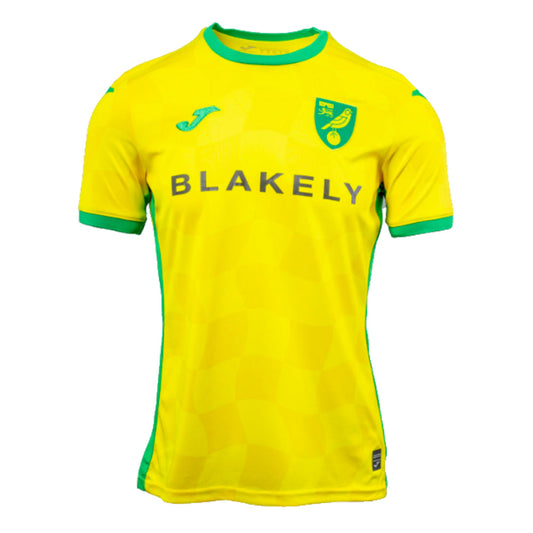 2024/25 Norwich Home Shirt