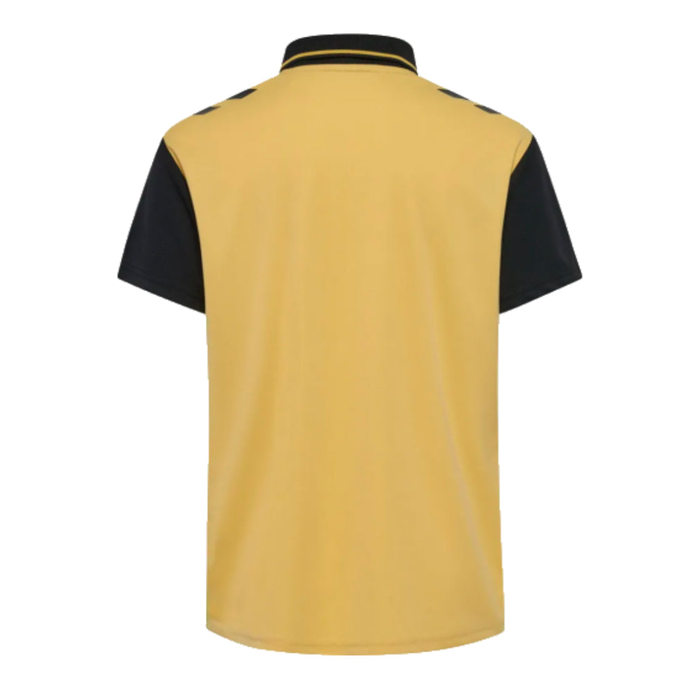 2024/25 St Etienne Third Shirt