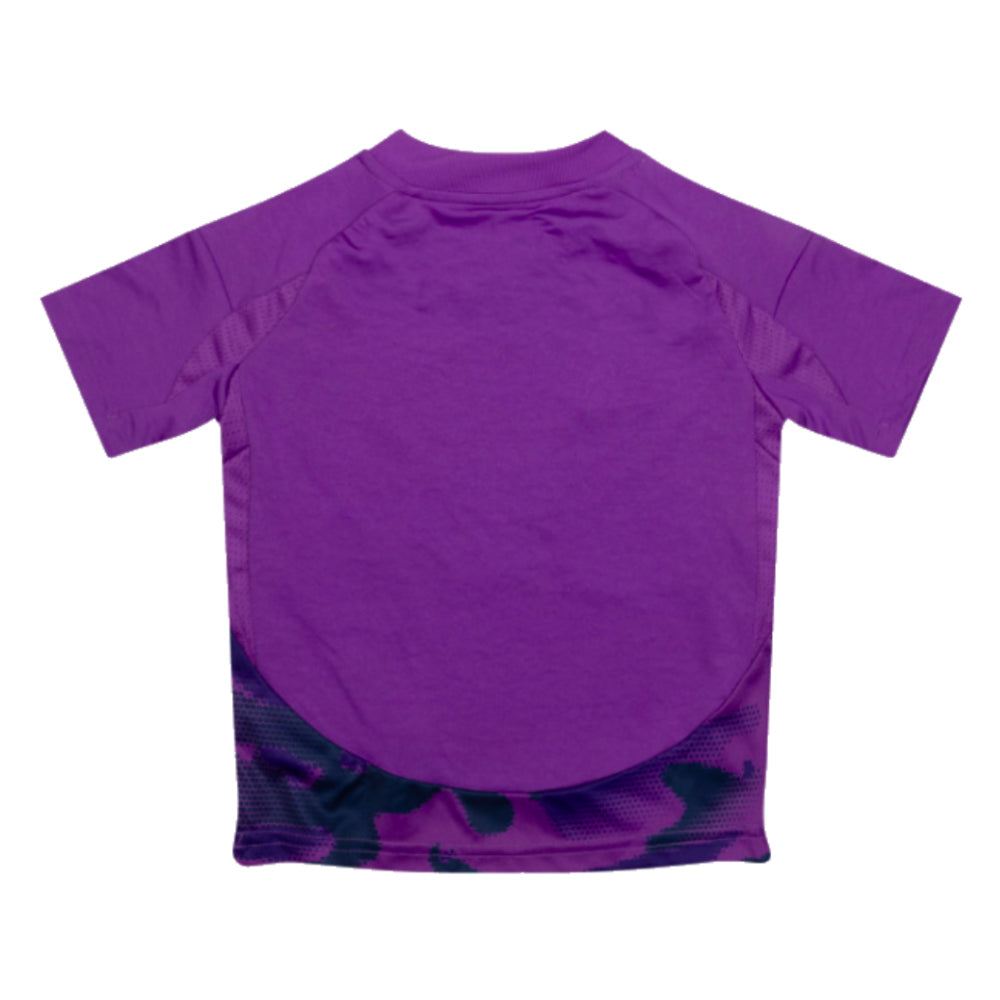 2024-2025 Fulham Third Mini Kit