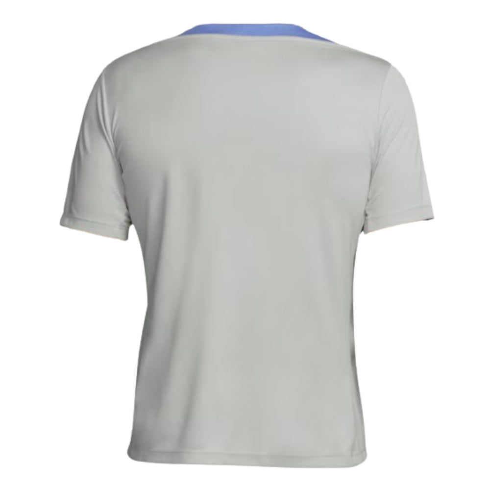 2024-2025 Tottenham Strike Training Jersey (Grey)