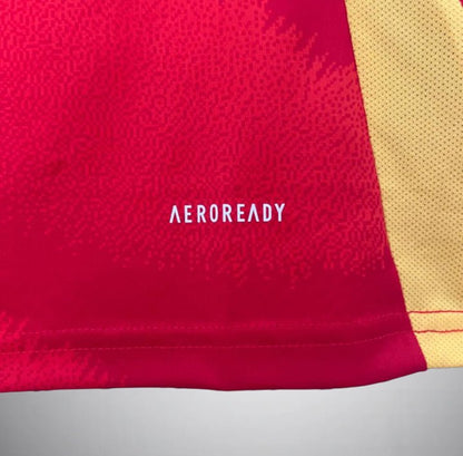 2024 Spain Home Kit