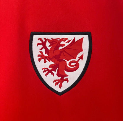 Wales 2024 Home Kit